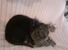 Betty & Chloe 4